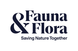 FFI