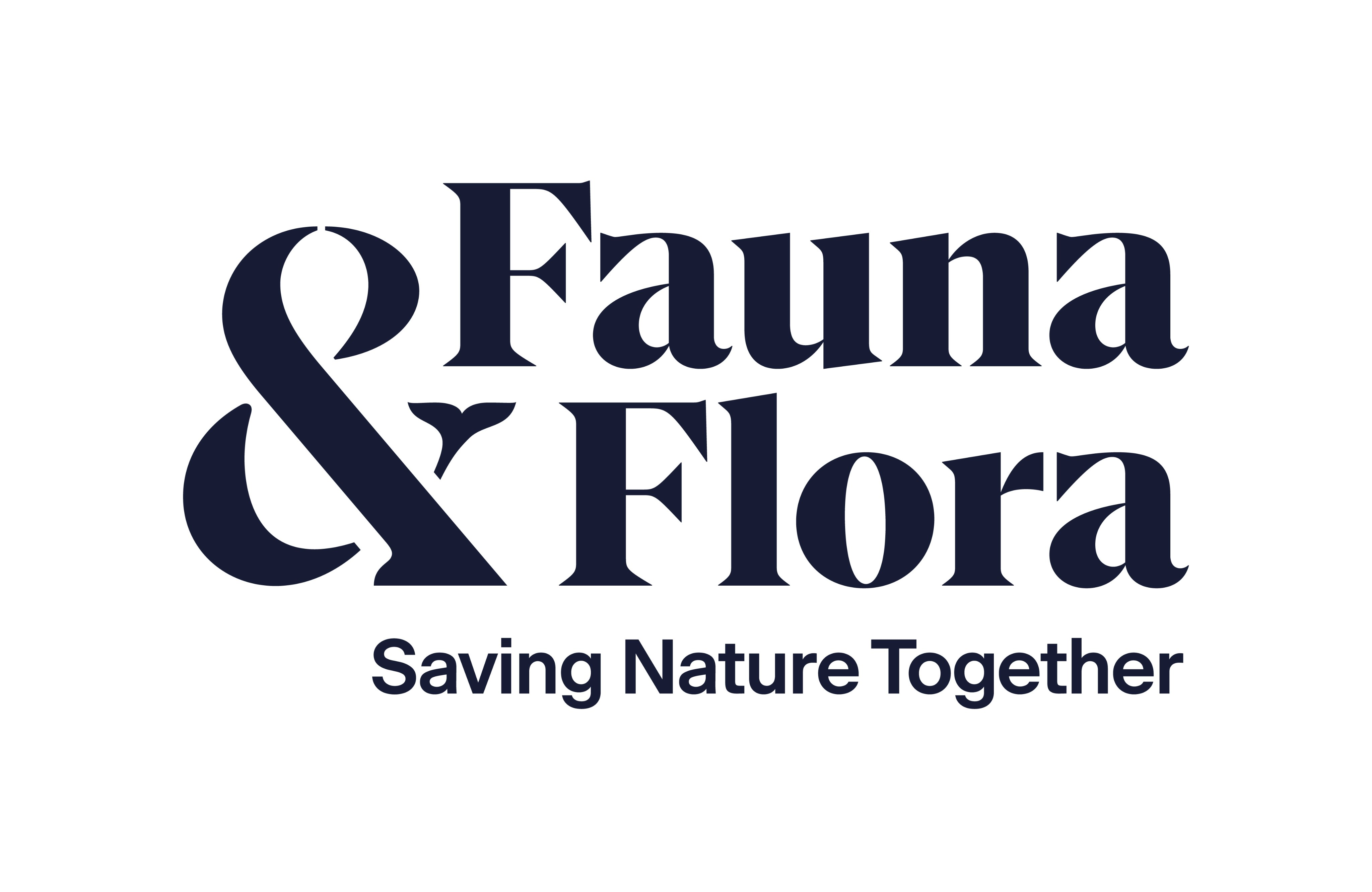 FFI